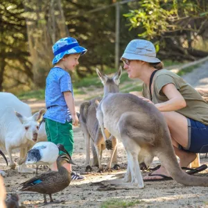 Adelaide Zoo