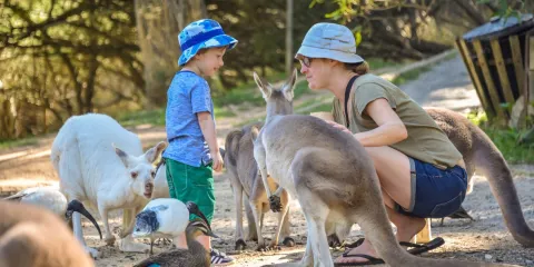 阿德萊德動物園