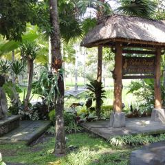 Bebek Bengil Ubud User Photo