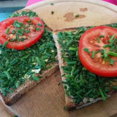 Gartensalon München張用戶圖片