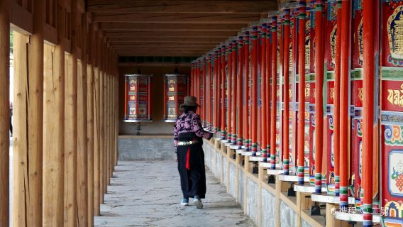 甘南拉卜楞寺+桑科草原+甘加祕境一日【精品純玩無購物包車團】