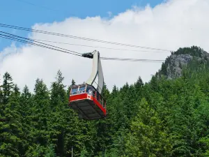 Grouse Mountain Peak
