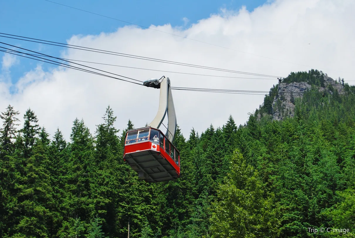 2_Grouse Mountain Peak
