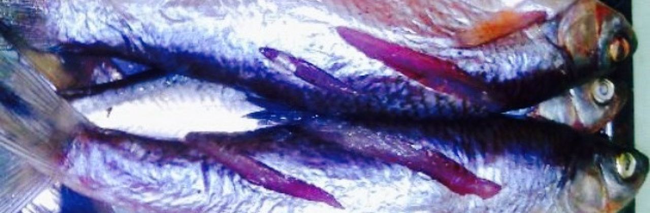 独一处烧烤(利民街店)