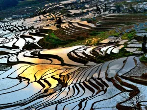 Sunrises in Yuanyang