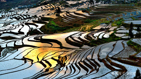 Yuanyang