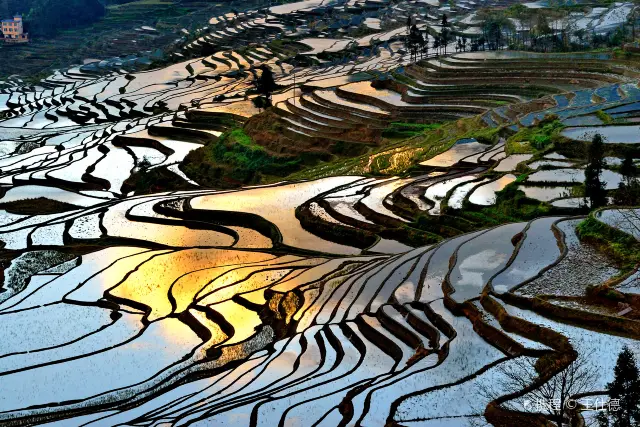 Sunrise Sightseeing in Yuanyang