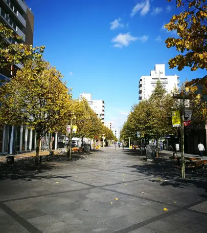 北海道旭川top10好去處 22旭川旅遊攻略 Trip Com