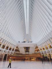 The Oculus