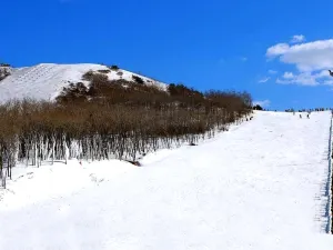 怪坡國際滑雪場