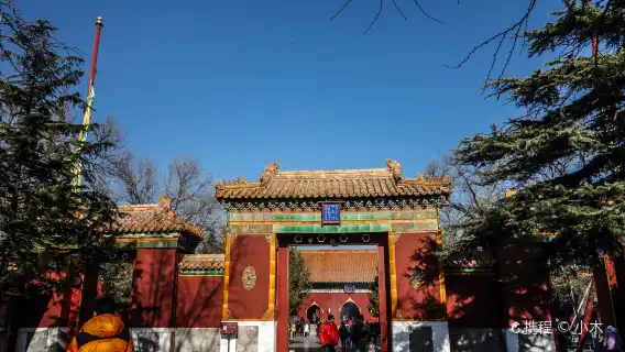 蝸牛文旅·雍和宮|多選項可選|資深講師|2.5小時深度遊|不包括門票