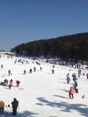 商量崗滑雪場