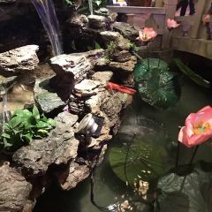 食悦围城·龙虾馆(万江店) User Photo