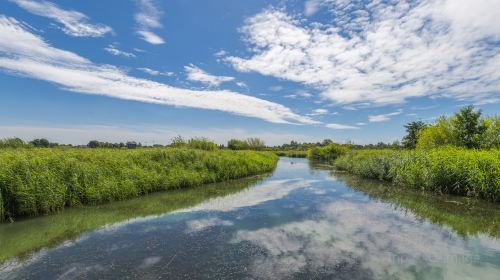 WWT London Wetland Centre