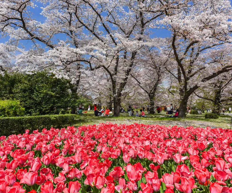 京都府立植物園