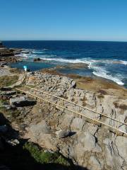 Maroubra Beach