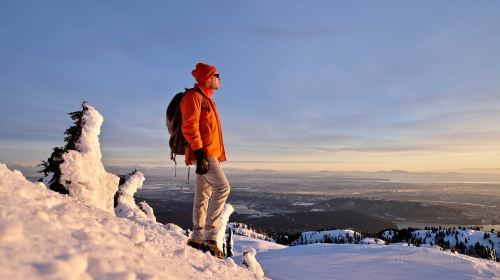 Mount Seymour Provincial Park