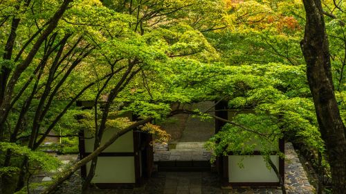 Jōjakkō-ji Temple