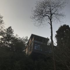 LUO XIN WEI User Photo