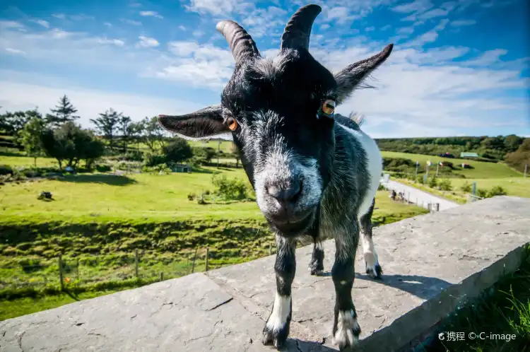 Hotel dekat Doolin Cave