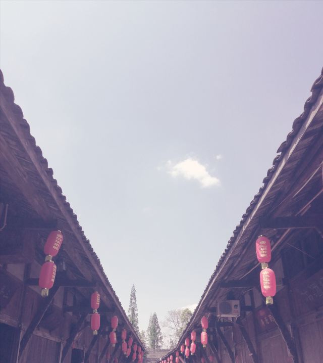 안인고진