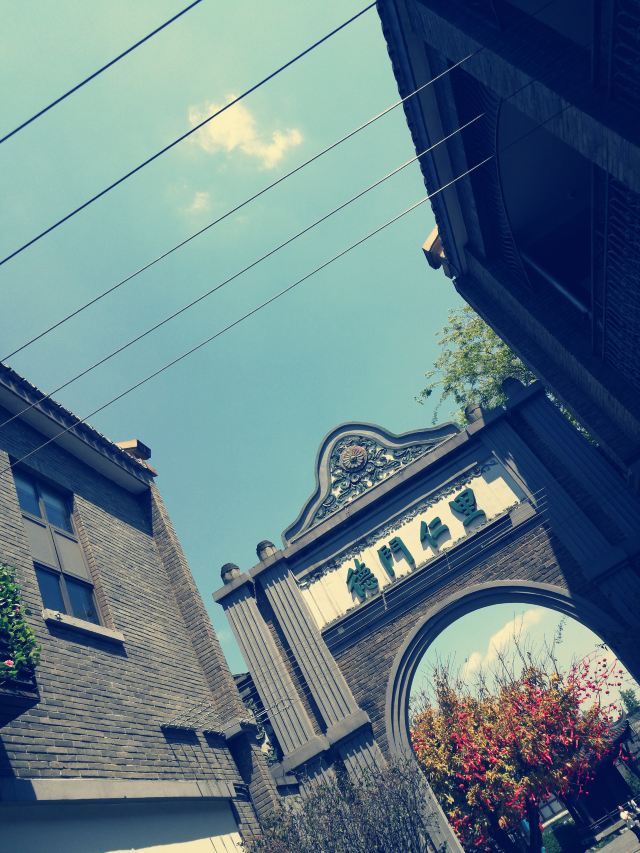 안인고진