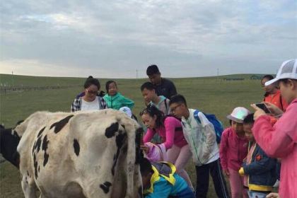 MO RI GE LE MENG GU DA YING