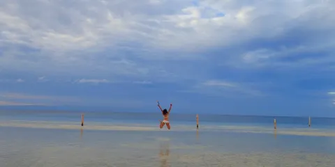 Tori's Backpacker's Paradise