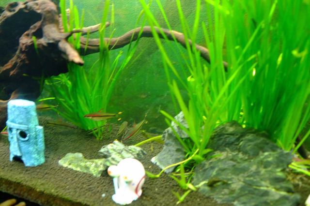 Changfeng Ocean World