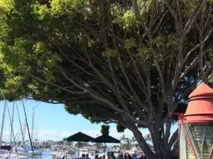 Cafe La Mer