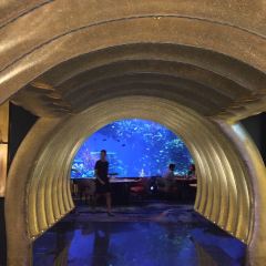 Ristorante L’Olivo at Al Mahara User Photo