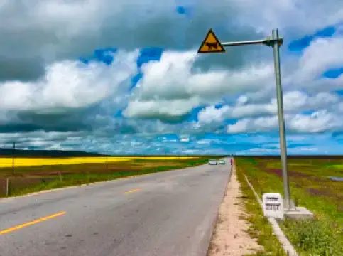 青海湖環湖西路