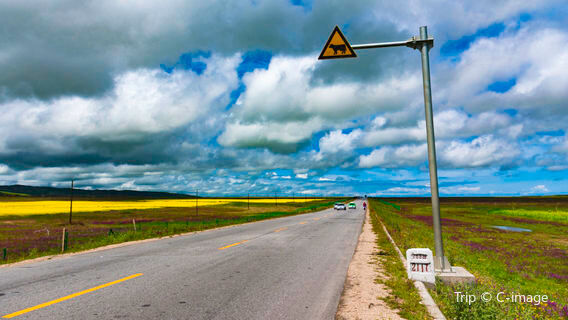 Qinghai Lake Huanhu West Road