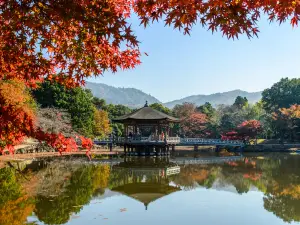 Parco di Nara