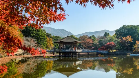 Nara travel destination