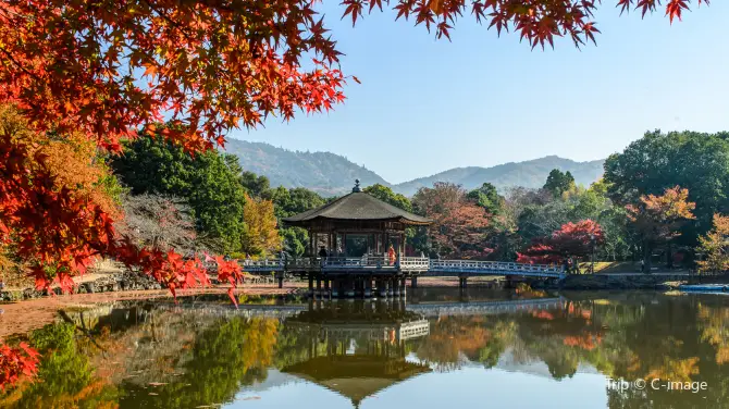 5_奈良公園