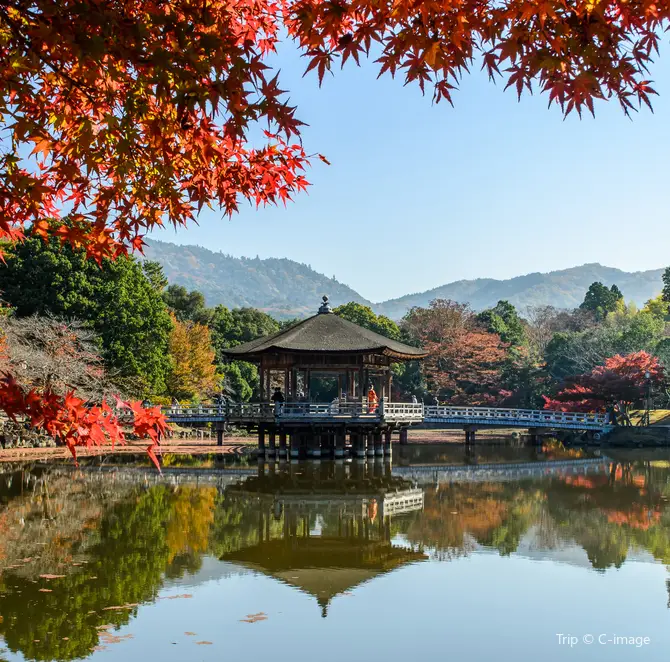 Nara