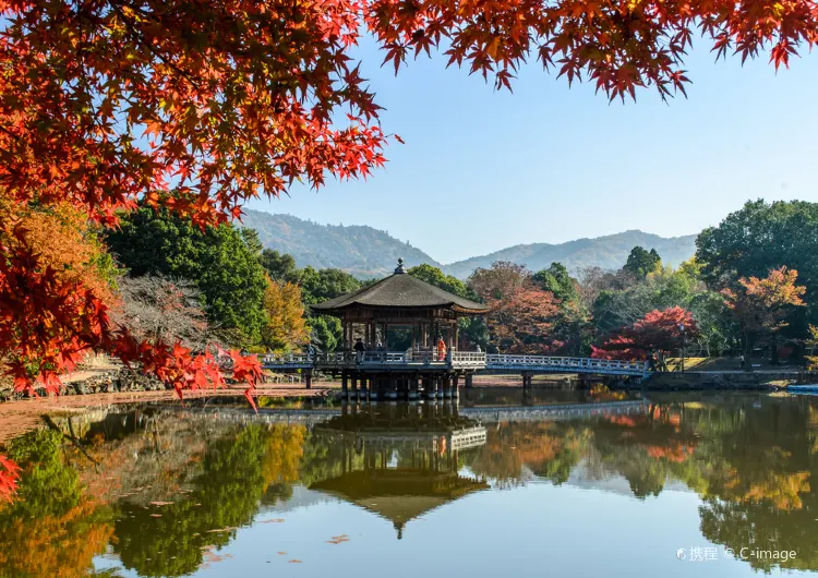 【오사카에서나라까지】2025나라 기차 여행 가이드: 오사카에서 출발하여 나라 가는 노선 쉽게 계획하기