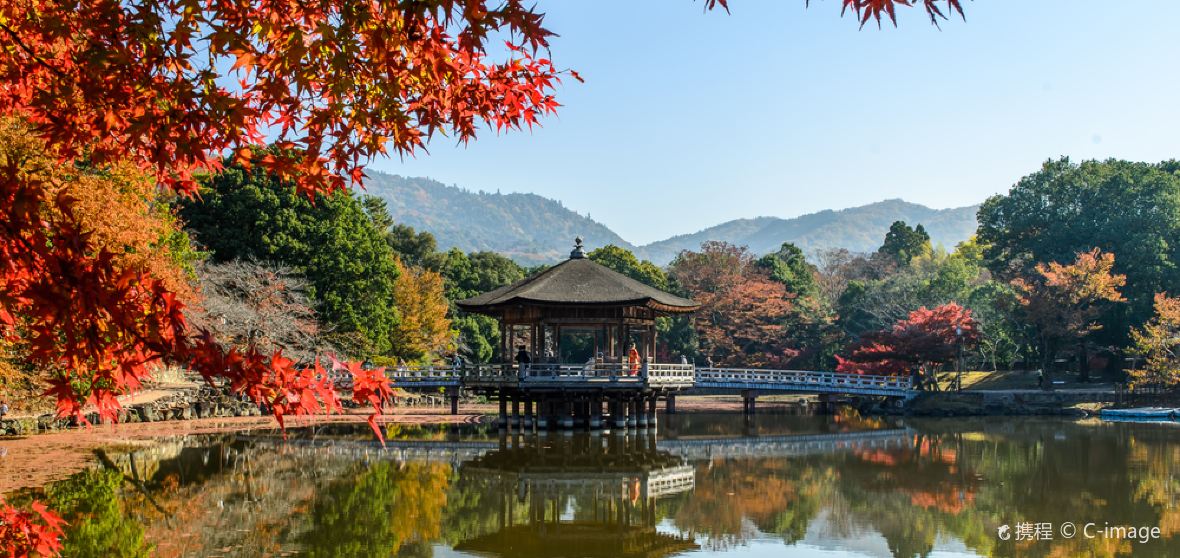 Nara City 2026: Top Things to Do & Places to Visit | Trip.com