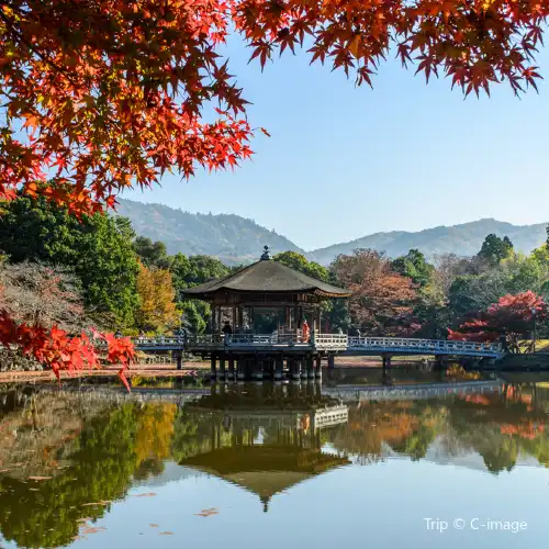 奈良市熱門賞秋好去處