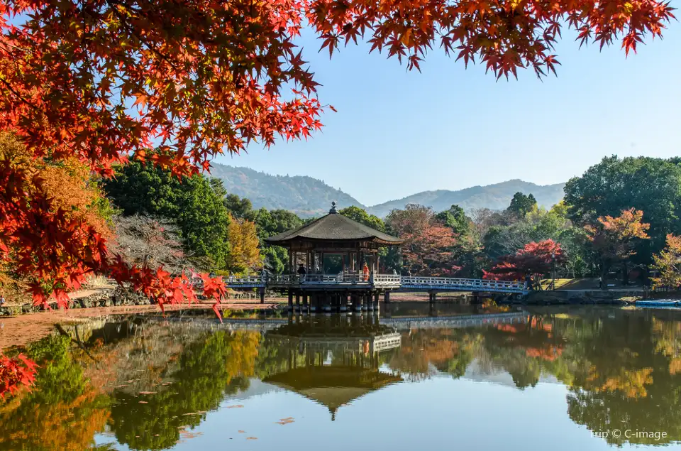 2_奈良公園