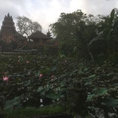 Cafe Lotus Ubud User Photo