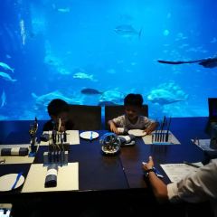 Ocean Restaurant User Photo