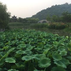 Kaiyuan Mingju User Photo