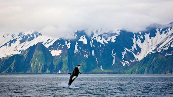 Seward