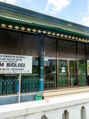 Museum of Biology UGM