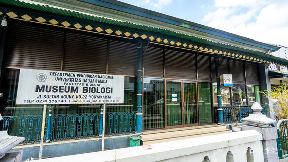Museum of Biology UGM