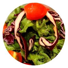 Plum Garden User Photo