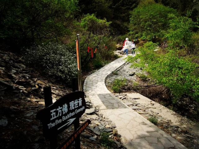 진롱쓰 국가삼림공원