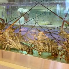 Costa Seafood Nha Trang 여행 사진